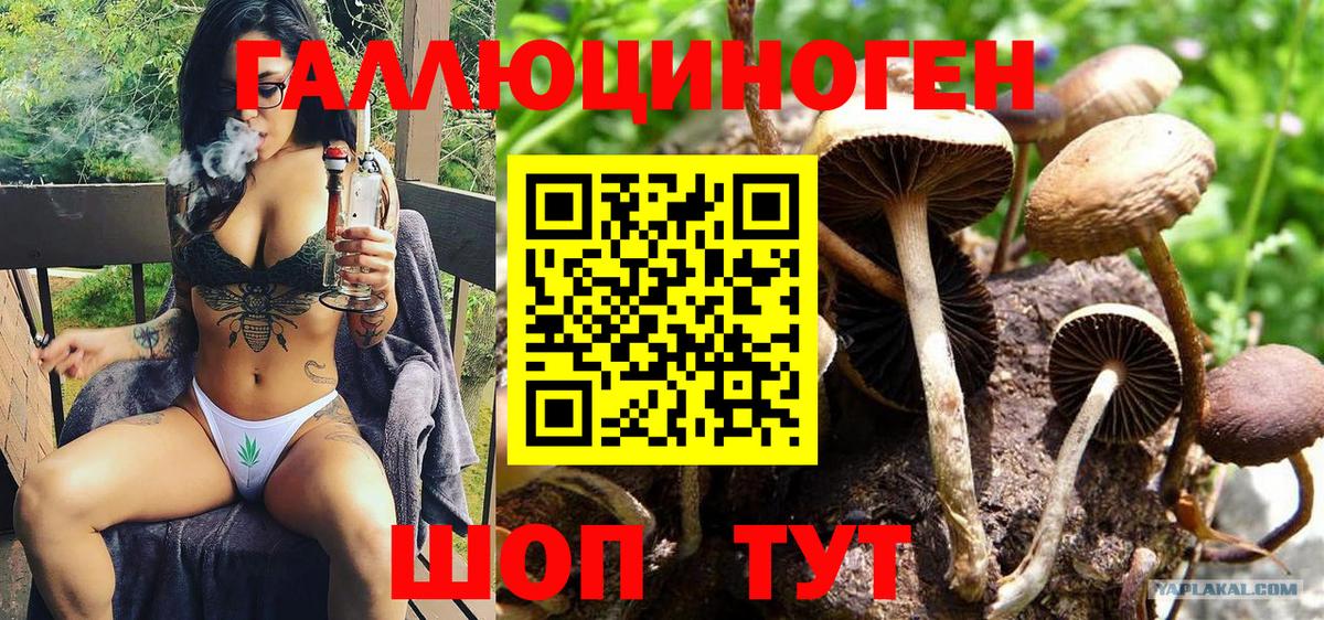 Галлюциногенные грибы MAGIC MUSHROOMS  Галлюциногенные грибы MAGIC MUSHROOMS  Вход с VPN  Набережные Челны 